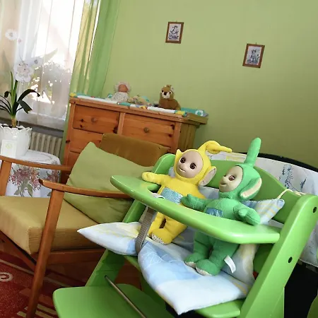 Spacious In Near Ski Area *